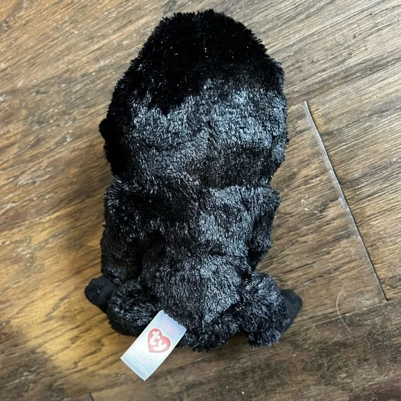 TY George - Picture 3 of 4